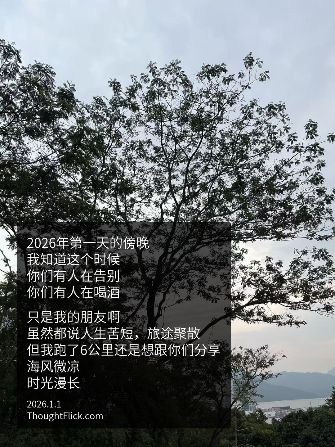 /media/images-phone/2026/1/1/2026-01-01 10.59.50.jpeg